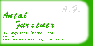antal furstner business card